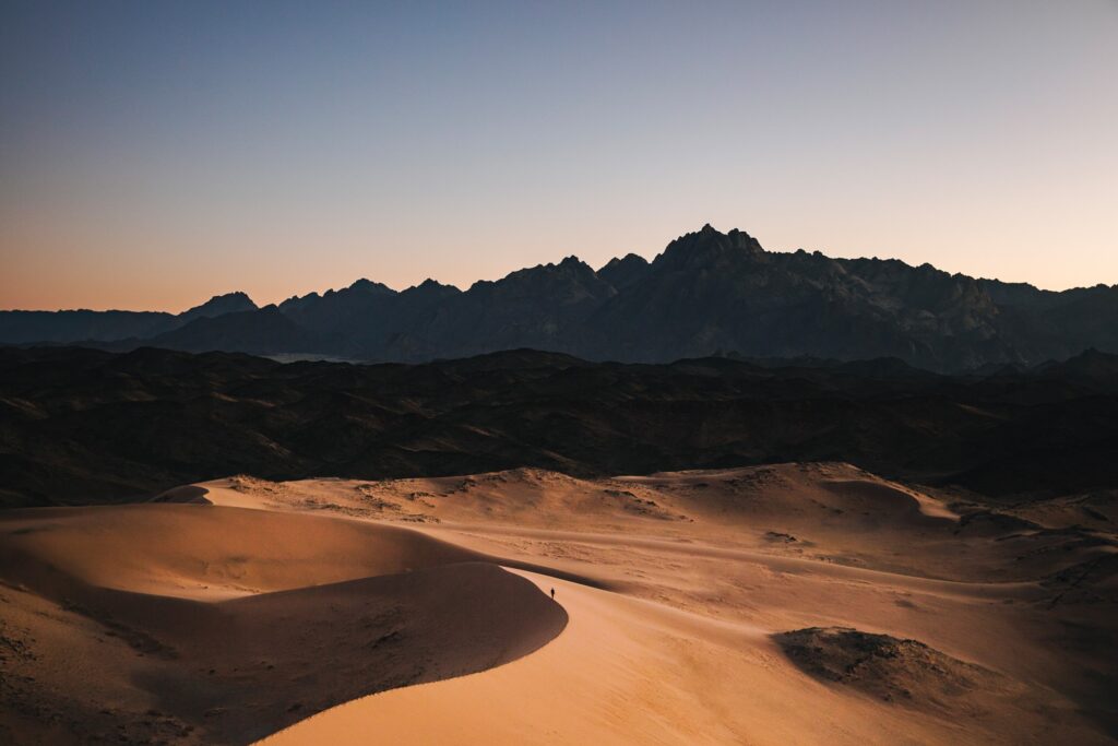 Al Qudra Lakes: Nature's Serenity